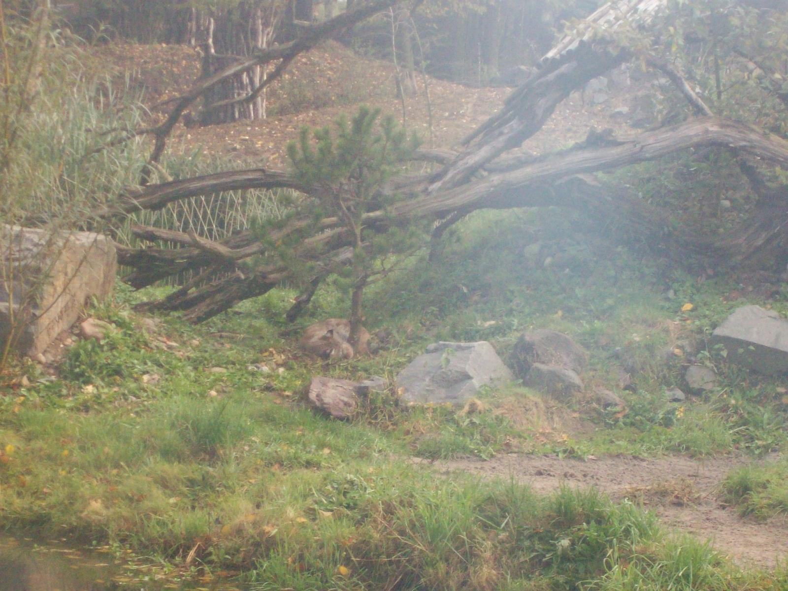 Zoom 18.10.2008-003.jpg